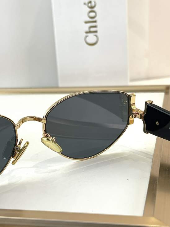 Picture of Chloe Sunglasses _SKUfw76161145fw